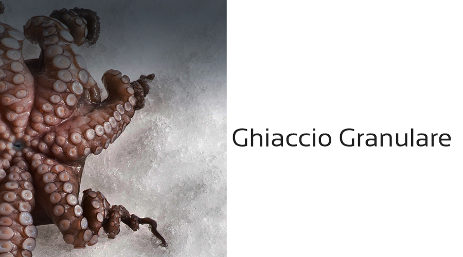 MACCHINE PER GHIACCIO GHIACCIO GRANULARE